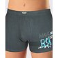 Boxerky Andrie PS 5130 - grafit