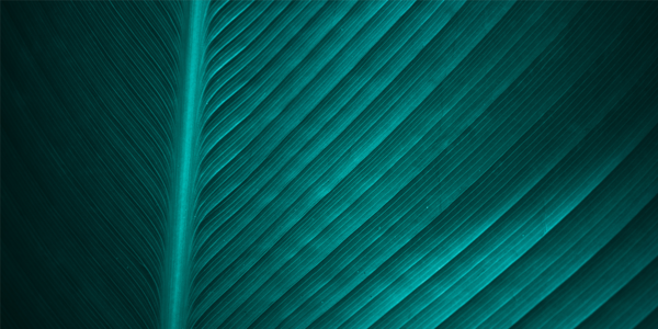 DOPLŇKY V TEALU – když chceš jen lehký trendový dotek