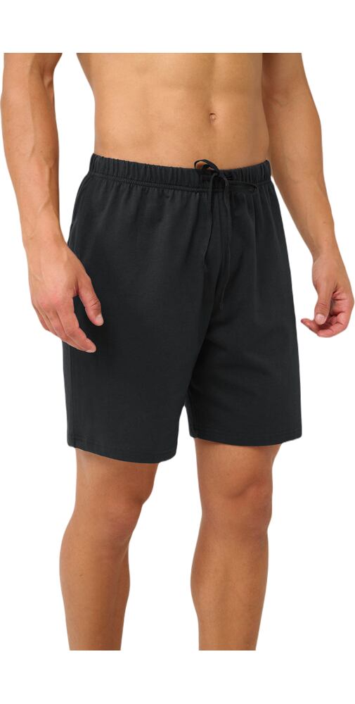 Bavlněné pánské kraťasy Vamp 22675 dark gray