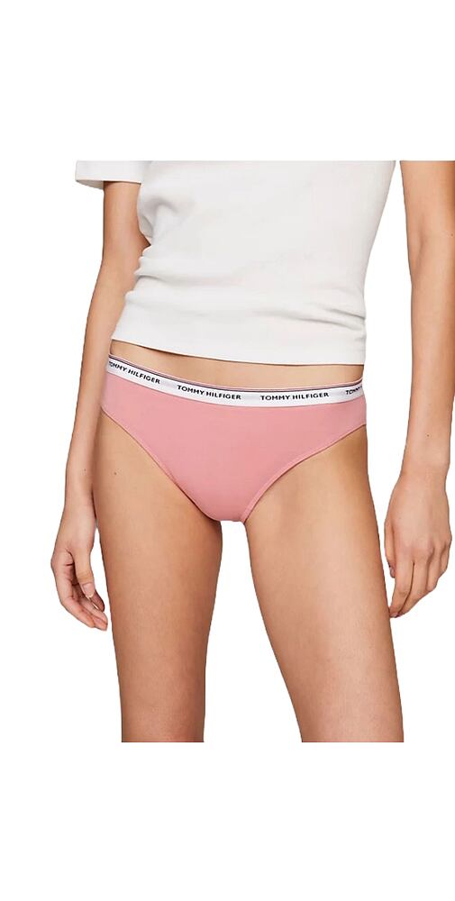 Dámské kalhotky Tommy Hilfiger UW0UW04895 tm.pudr