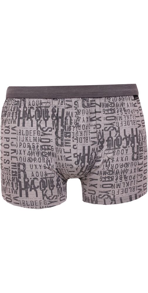 Boxerky s bambusem Andrie PS 5653 šedá