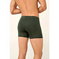 Pánské boxerky Vamp Micromodal s dlouhýma nohavičkama 22855 green ivy