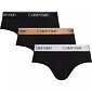 Pánské slipy Calvin Klein 3 pack NB2568_gf0
