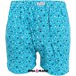 Mladistvé trenky pro muže Andrie PS 5749 laguna